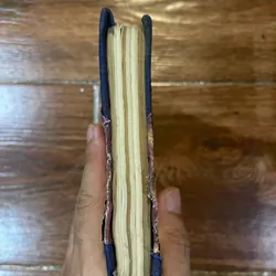 Thân thế và sự nghiệp y học của Hải Thượng Lãn Ông (19) 561026