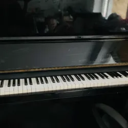 Đàn Piano Cơ của Nhật 751644