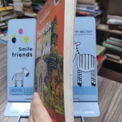 Sách: Thánh Đại Mỹ Sơn - Ngô Văn Doanh (A2) 578165