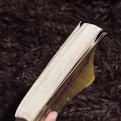 Bút ký dưới hầm 733036