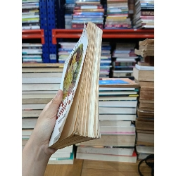 Nữ luật sư - Ngụy Nhã Hoa (Thượng Thuận dịch) 732087