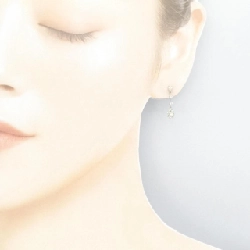 PT900 Bông tai kim cương 0.60CT - Hàng hiệu Chính hãng 868619