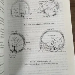 Triệu chứng học ngoại khoa-  sách y khổ lớn- 450 trang  791069