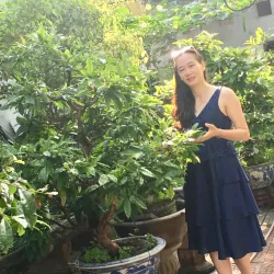 Đầm phi xanh đẹp