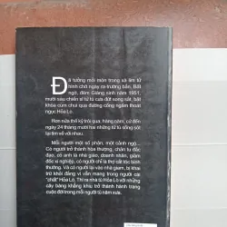 Cây bàng lá đỏ 996479