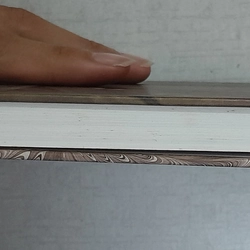 Truyện ngắn và truyện vừa Dostoievski Dostoyevsky 521541