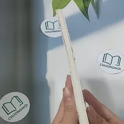 Tạp văn Võ Công Liêm - Võ Công Liêm 694908