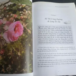 Hạnh Phúc Tâm Bình An 687526