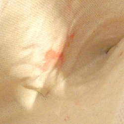 Gucci 277514 ANK0G Túi - Hàng hiệu Chính hãng 765979