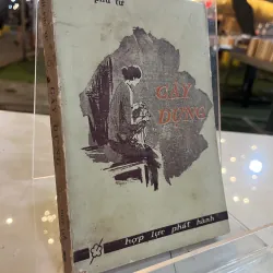 GÂY DỰNG - MẠNH PHÚ TƯ