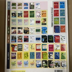 Toeic Tranining Reading Comprehension 1010375