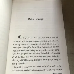 Tái sinh ở Phương Tây 993285