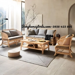 Bàn ghế sofa mây phòng khách hiện đại 505646