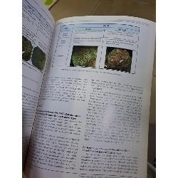 GIE Gastrointestinal Endoscopy volume 86 no 4 10/2017 HCM0808 TẠP CHÍ, THIẾT KẾ, THỜI TRANG 527157