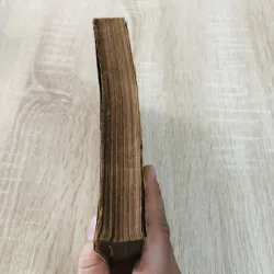 CÂY RỪNG , nxb: 1978 956947