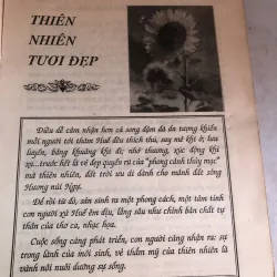 Cố đô Huế - đẹp và thơ 800135