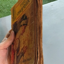 TÌNH SỬ JOSÉPHINE  - Andrecastelot 223494