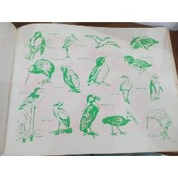 Nghệ thuật minh hoạ - Phạm Thành Giáo 499075