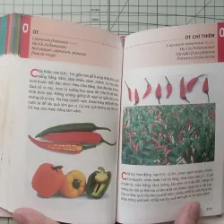 Từ điển tranh về các loài cây - Lê Quang Long 1024380