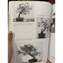 The art of bonsai - Yuji Yoshimura 927634