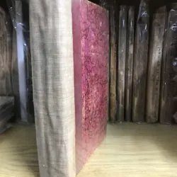 Histoire de Saint Bernard et de son siècle (Tome Premier) 796943