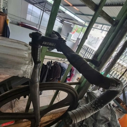 xe fixed gear 547936