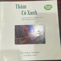 Thảm cỏ xanh - khám phá môi trường tự nhiên bên trong sân vườn  - hộp háo hức  1028175