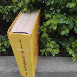 Việt sử cương mục tiết yếu của Đặng Xuân Bảng  1001930