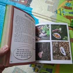 101 Trò Chơi Sáng Tạo Cho Trẻ - Hoạt Động Ngoài Trời 790254