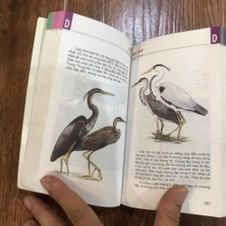 Từ điển tranh 4 cuốn (o4)  471927