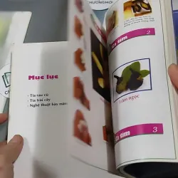 Nghệ Thuật Trang Trí Rau Củ Quả - Quỳnh Hương 727306