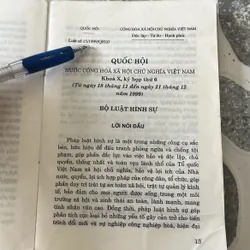 Bộ luật Hình sự 1999  307804