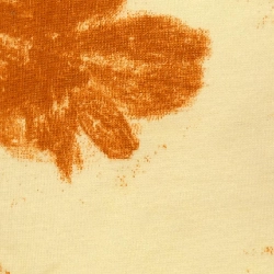 JIL SANDER T-shirt - Hàng hiệu Authentic 906404