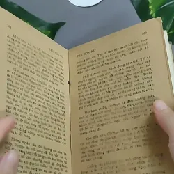 Trà Hoa Nữ 604659