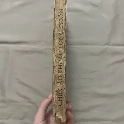 CHIẾC ÁO KHOÁC LÔNG CHỒN - Tập truyện ngắn Léningrat 992564