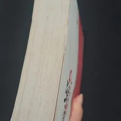 Có cần lấy chồng không? - Ức Cẩm 596225