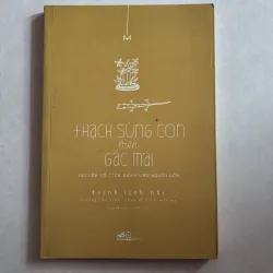 Thạch sùng con trên gác mái