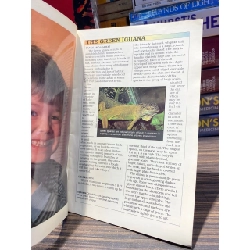 Caring for Green Iguanas - John Coborn 726821