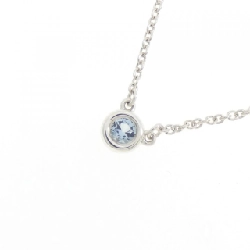 Dây chuyền Tiffany By The Yard - Hàng hiệu Authentic 841892