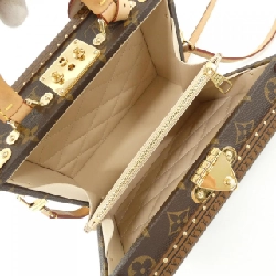 Túi Louis Vuitton Monogram Petit Valles M20468 618209