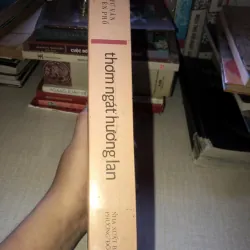 Thơm ngát hương lan, Hư vân niên phổ  935181