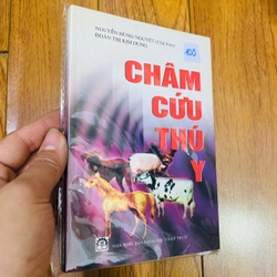 Châm cứu thú y