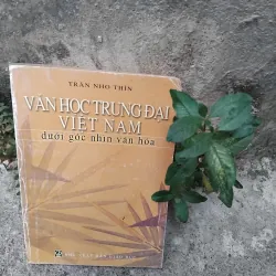 Văn học trung đại Việt Nam dưới góc nhìn văn hóa của GS Trần Nho Thìn 