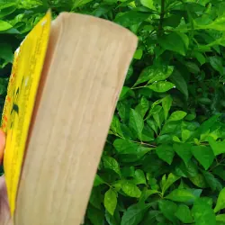 Fire in the lake của Frances Fitzgerrald  1001282