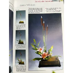 Hướng dẫn cắm hoa kiểu mới - Thiên Kim 711783