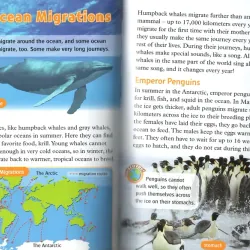 Oxford read and discover (Sách nhập) - Level 5 - 14 quyển + File Mp3 1038358