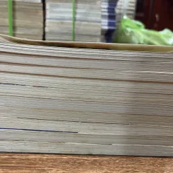 Cặp đôi kỳ lạ trọn bộ 10 tập  (18) 776824