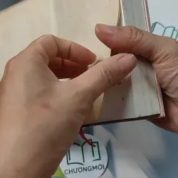 Từ Điển Thành Ngữ Hoa - Việt 749552