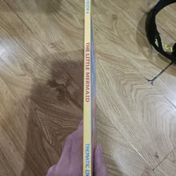 The Little Mermaid storybook 6
20k 674817