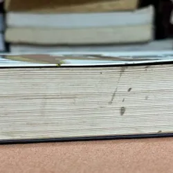 Độc giả thứ 7 🌊 599718